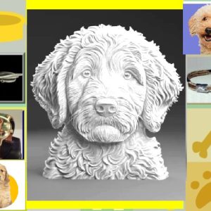 One of a kind – hanger – Labradoodle/Goldendoodle – 925 zilver – maat 25 X 26 mm