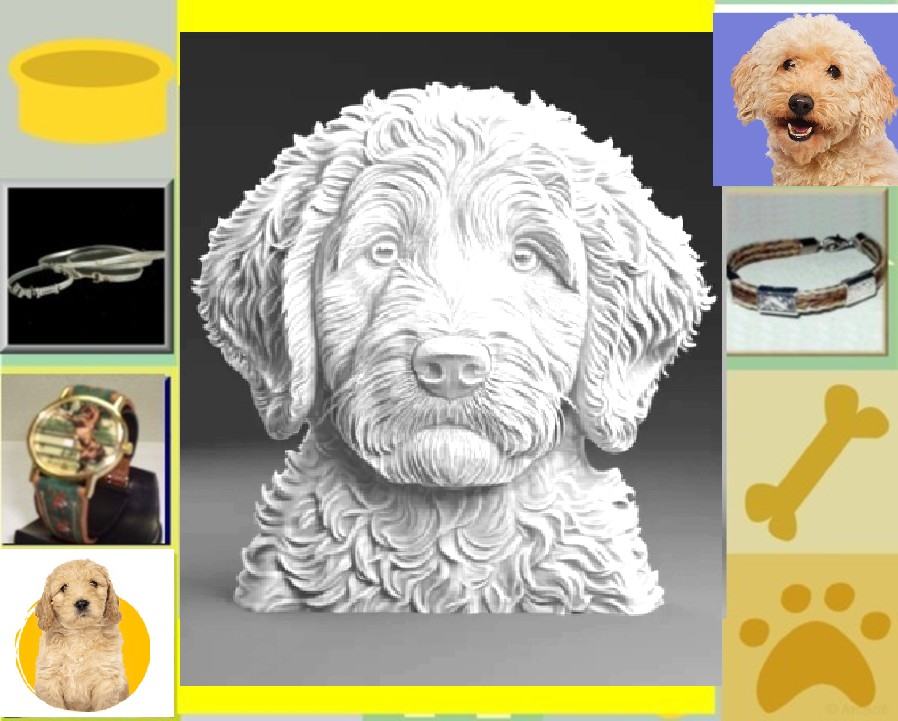 One of a kind – hanger – Labradoodle/Goldendoodle – 925 zilver – maat 25 X 26 mm