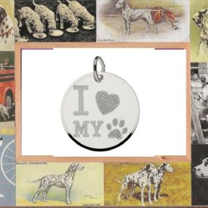 Dog tag – van echt zilver – tekst I love my dog – met collier van 42 cm