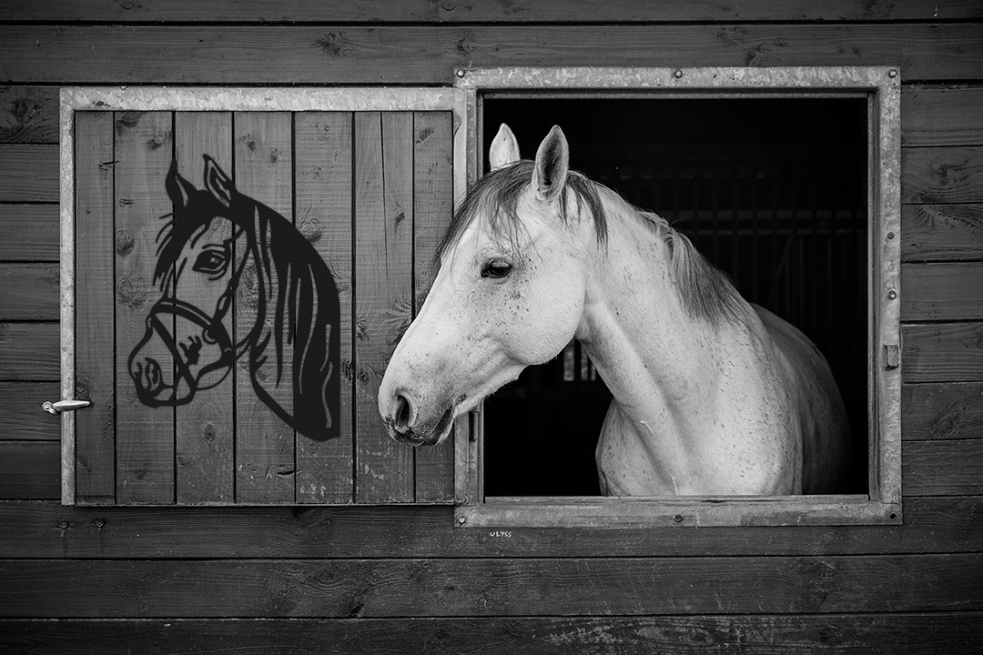 Kiekeboe Tuindecoratie Paard Jumper – zwart staal