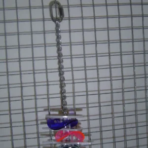 16056 Papegaaien en parkieten speelgoed Star Chain