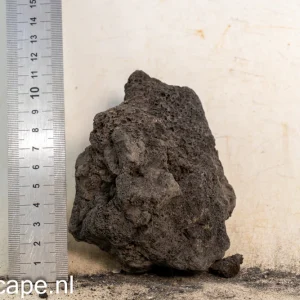 Black Lava Rock S495