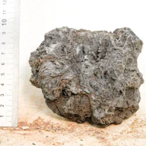 black lava rock S428