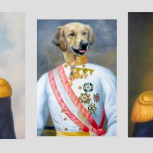 Speciaal schilderij van hond met uniform — 3modellen