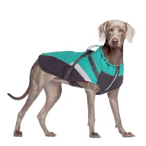 Stoere hondenjas  Groen met zwart  Gewatteerd Waterdicht Met ingebouwd tuigje – Maat L –