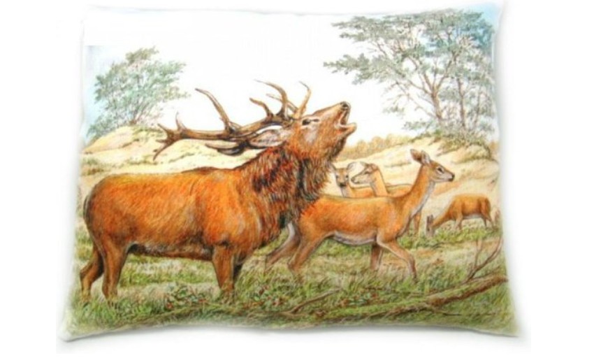 Sierkussen met herten thema dieren cadeaus