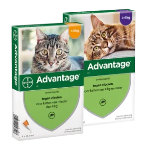 Vlooien middelen Advantage Katten