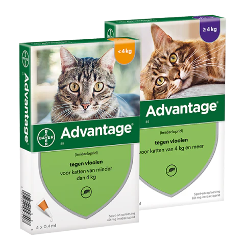 Vlooien middelen Advantage Katten