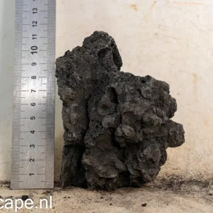 Black Lava Rock S479