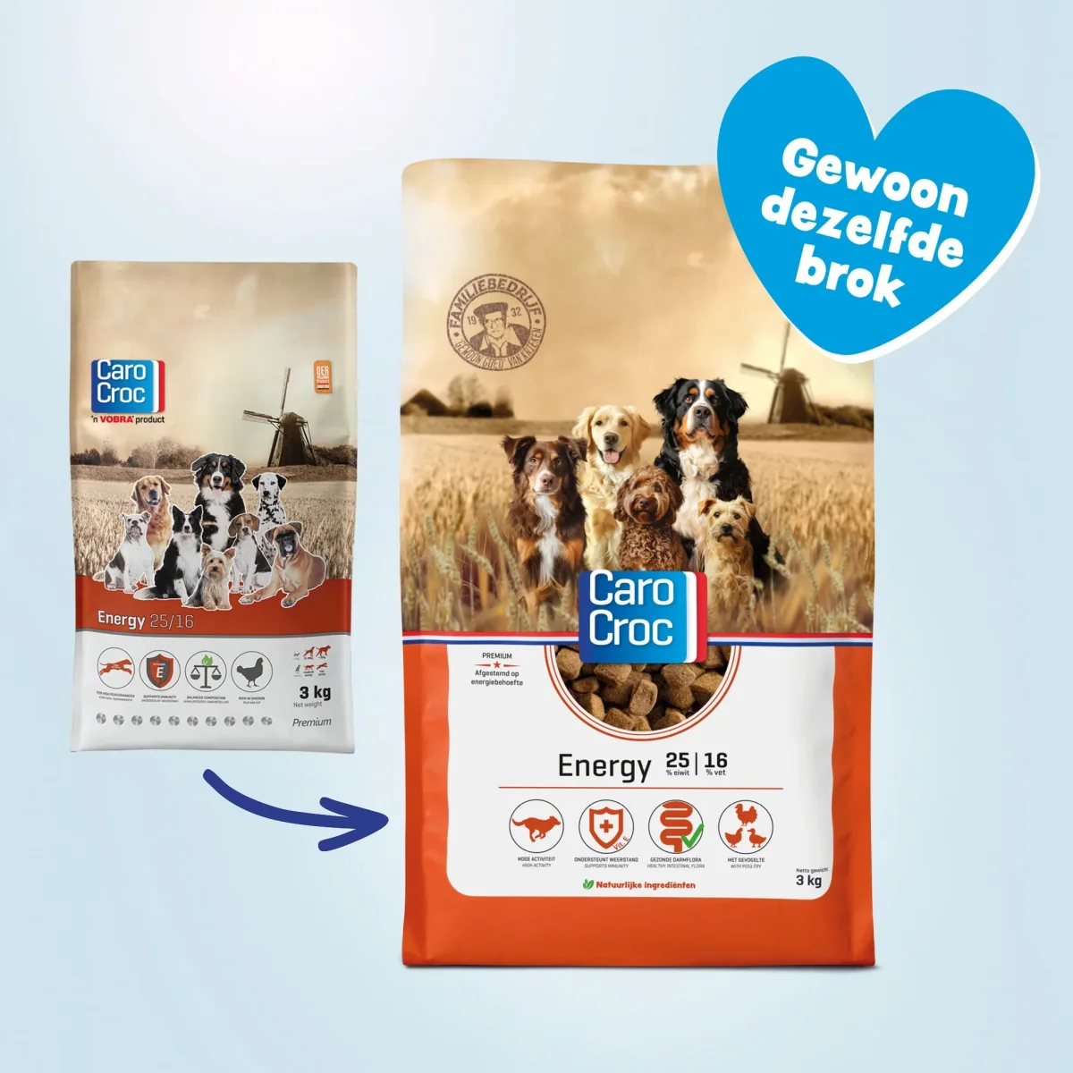 CaroCroc Energy 25/16