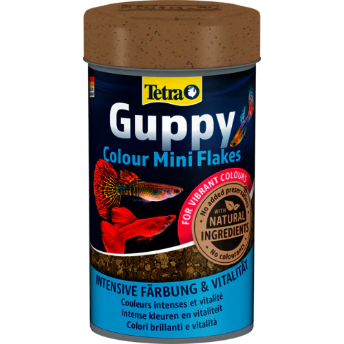 Aquarium Vissenvoer Tetra Guppy mini