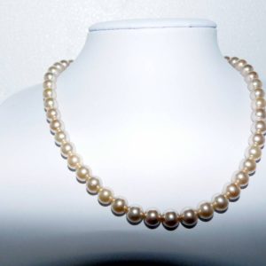 Shell based – Licht Goudkleurig parelcollier – lang 42 cm – 8 mm breed – zilver bolslot