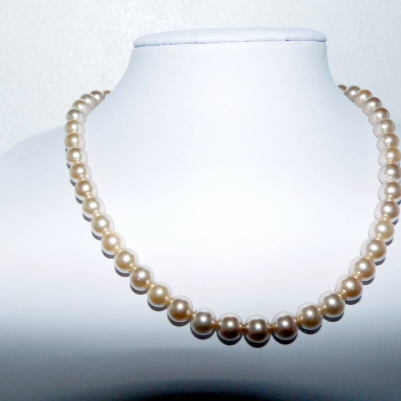 Shell based – Licht Goudkleurig parelcollier – lang 42 cm – 8 mm breed – zilver bolslot