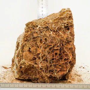 Maple Leaf Rock XL17