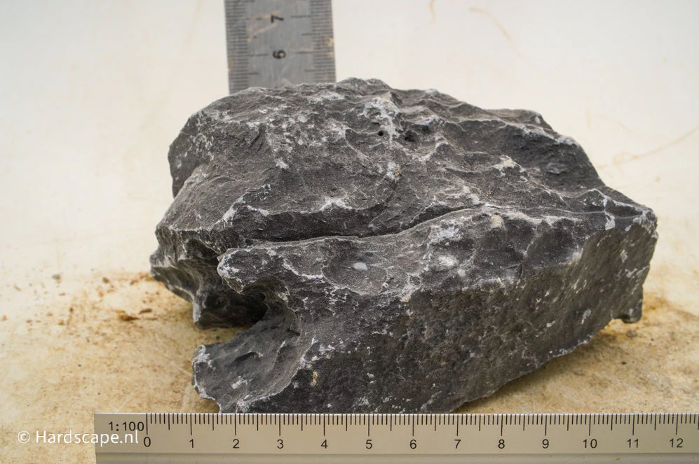 Dark Seiryu Rock S179