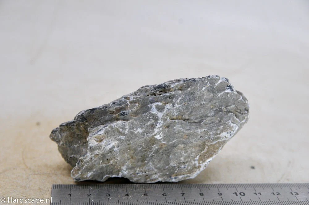 Elephant Skin Rock S94