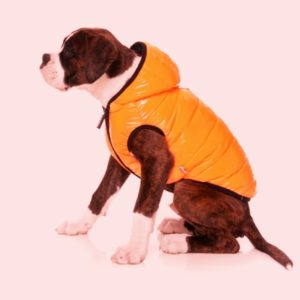 Fuzzyard – Aeon Hoodie Oranje – Hondenkleding – 49 cm – Winterjas –