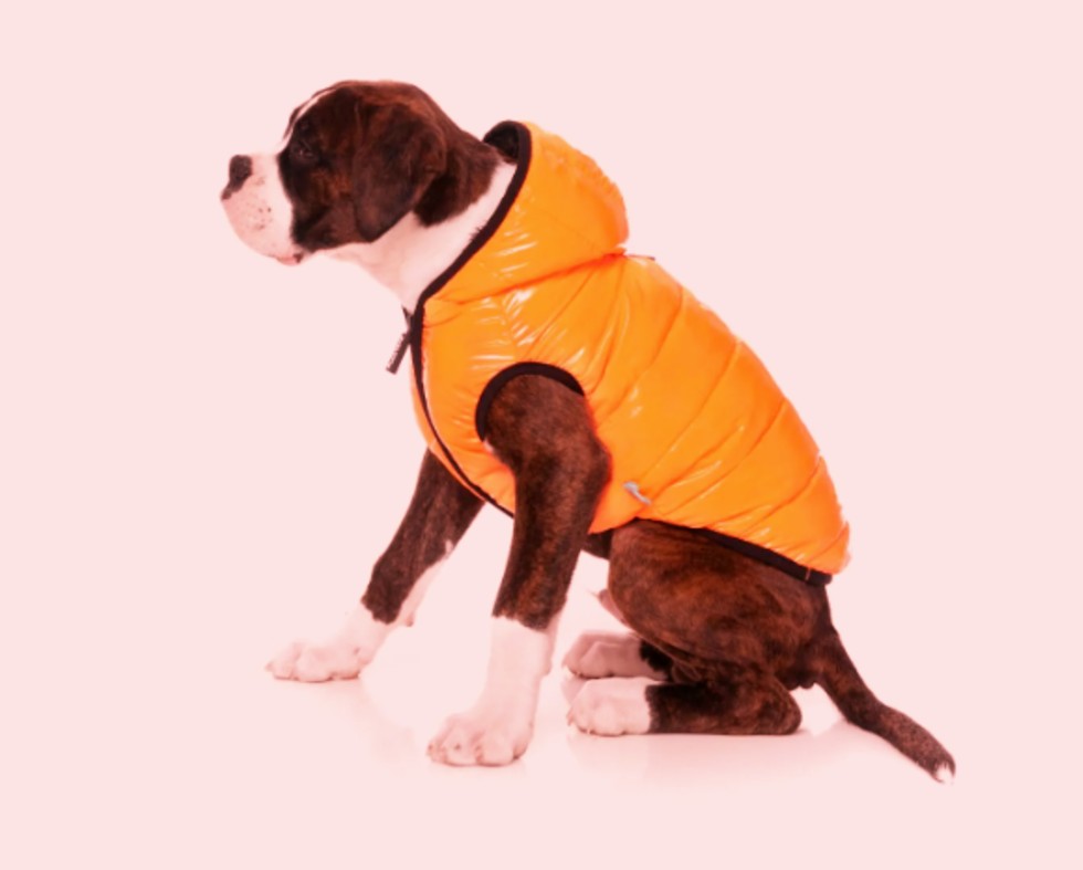 Fuzzyard – Aeon Hoodie Oranje – Hondenkleding – 49 cm – Winterjas –