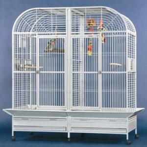 35071 Papegaaienkooi Chicago Platinum lichtgrijs v montana