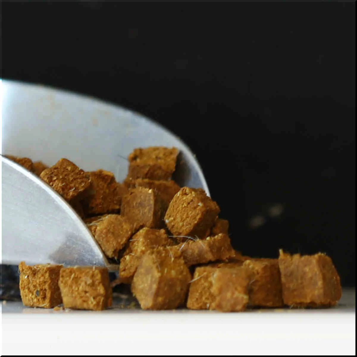 Trainers Zeewier Lam