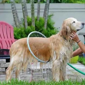 360 Graden Hondendouche