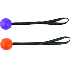 Trixie rubberen bal met stekels en koord
