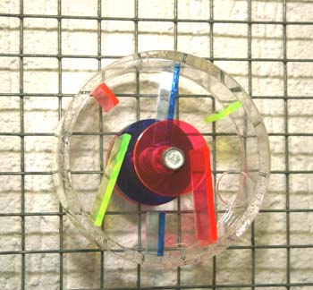 16009 parkietenspeelgoed Treat Wheel