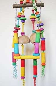 17738 Papegaai en parkietenspeelgoed Happy Huge Swing / schommelFun