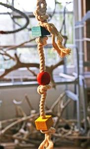 18602 Papegaaien & Parkietenspeelgoed Blocks III