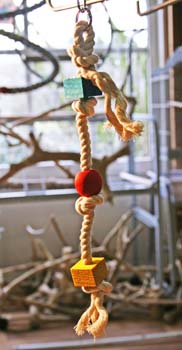 18602 Papegaaien & Parkietenspeelgoed Blocks III