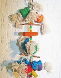 17613 Parkietenspeelgoed  Budgie X