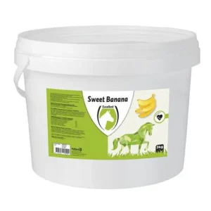 Sweet Banana Blocks 3kg