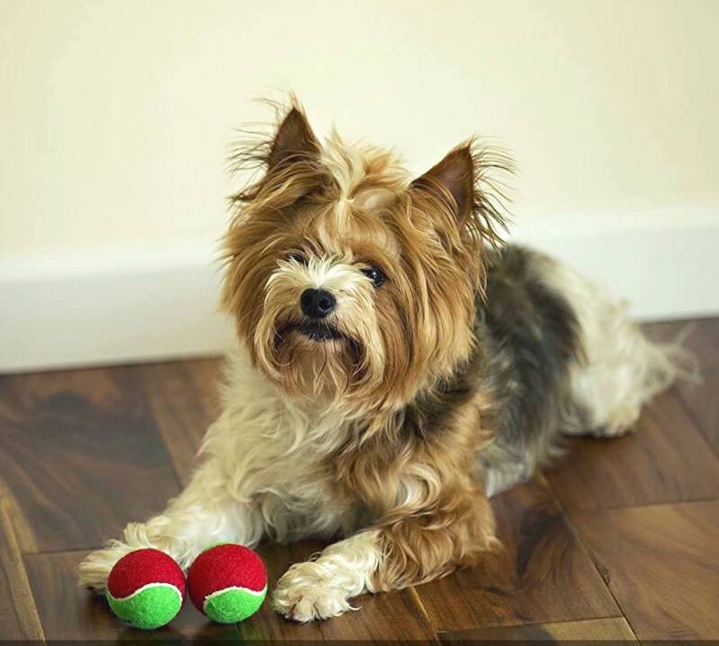 Tennisballen voor hond en kat – opschrift Merry Christmas – maat 50 en 70 mm – set van 3